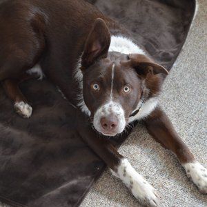 Meet your Posher, GnSS